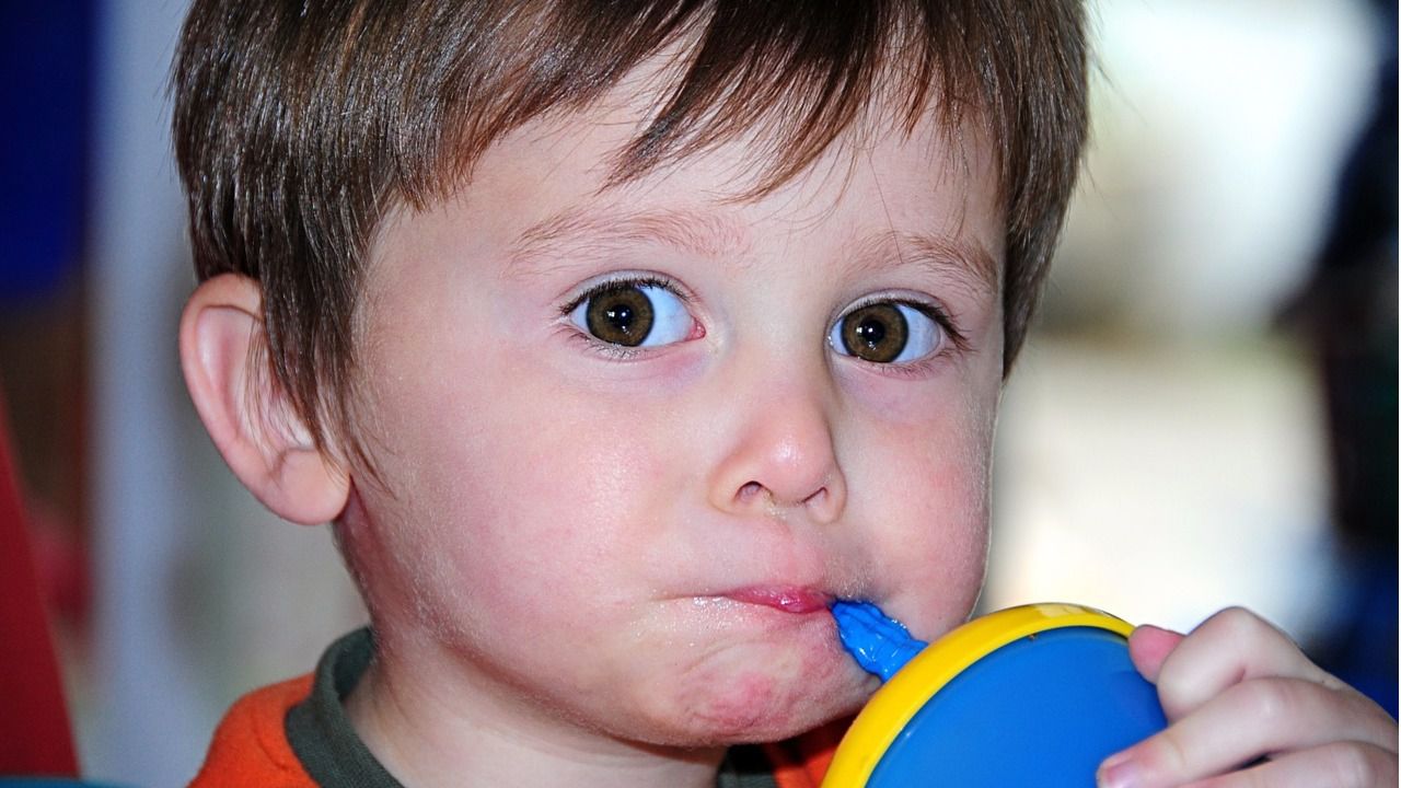 Los lácteos disminuyen el riesgo de sobrepeso y obesidad de la población infantil y adulta