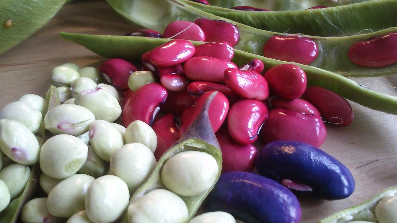 Comer judías, guisantes, garbanzos o lentejas puede ayudar a perder peso y no recuperarlo