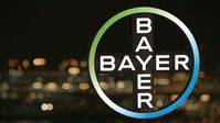 Bayer apuesta por el talento internacional de la UPF Barcelona School of Management