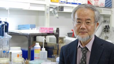 Yoshinori Ohsum, Premio Nobel de Medicina por sus hallazgos sobre el reciclaje celular