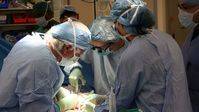 «Récord» de 10 trasplantes en 24 horas