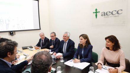 Reunión de trabajo de su Majestad la Reina para analizar los objetivos estratégicos y la actividades de la AECC en 2017