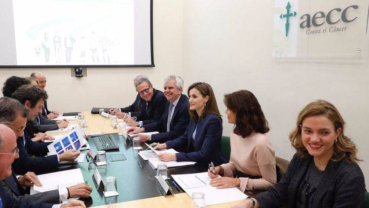 Reunión de trabajo de su Majestad la Reina para analizar los objetivos estratégicos y la actividades de la AECC en 2017