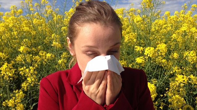 Las alergias primaverales pueden derivar en problemas de audición