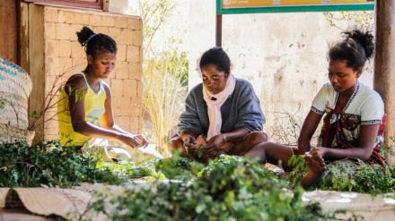 Más de 3,5 millones de madres y niños menores de cinco años mueren cada año en el mundo como consecuencia de la desnutrición