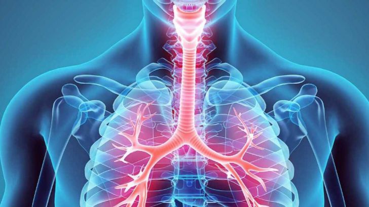 La fisioterapia respiratoria disminuye notablemente los síntomas en pacientes con EPOC
