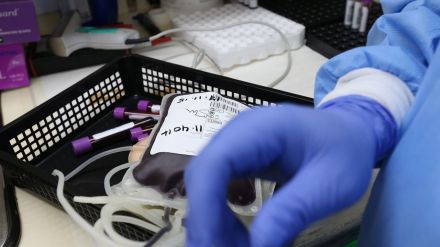 Más de 1,1 millones de personas donaron sangre en España durante 2019