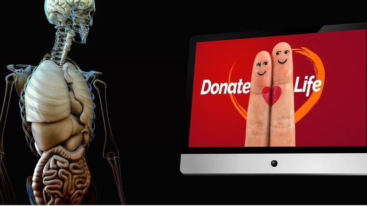 España revalida su liderazgo mundial en donación de órganos y aporta el 20% de la UE y el 6% del mundo