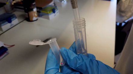 Nuevo sistema de detección de COVID-19, test alternativo a las PCR "rápido, barato y de fácil uso"