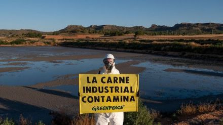 La ganadería española es la tercera más contaminante de Europa