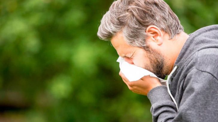 Consejos para prevenir los síntomas de la alergia al polen