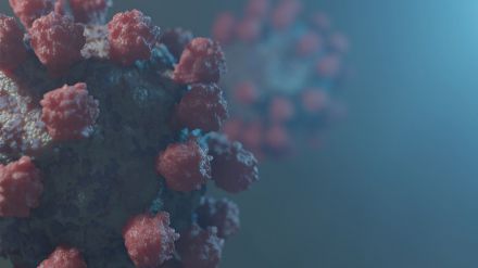 Inmunidad celular: esencial para evitar la reinfección del coronavirus