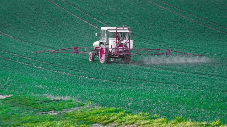 Éxito histórico para la protección de la salud humana y el medio ambiente