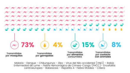 Enfermedades que amenazan al turismo pospandemia