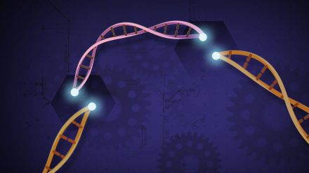 CRISPR: Un método para detectar el virus de la COVID-19 y otros patógenos