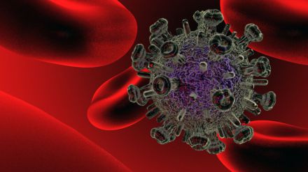 La combinación de vacunas es clave para lograr una buena respuesta inmune frente al VIH