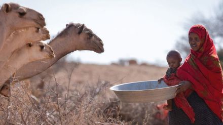 Aumento desorbitado de la sequía: 'A una sola enfermedad de la catástrofe'