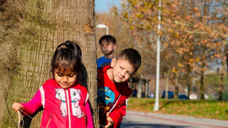 Los árboles plantados en las calles se asocian con una reducción en la mortalidad