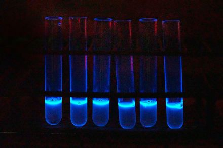 Genes 'iluminados' detectan bacterias nocivas de los alimentos