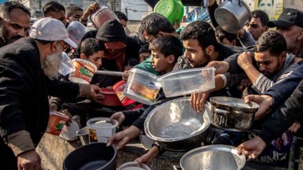OMS: La combinación letal de hambre y enfermedades provocará más muertes en Gaza