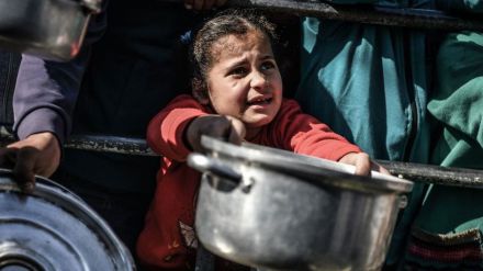 Israel-Palestina: "La mitad de la población de Gaza se muere de hambre"