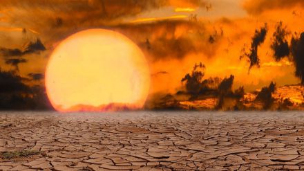 Entre 55.000 y 72.000 personas murieron por las olas de calor en 2003, 2010 y 2022