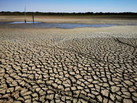  CSIC / Laguna de Santa Olalla, en Doñana, Carmen Díaz Paniagua