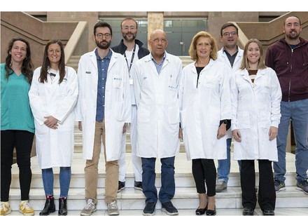 Estudian el metabolismo cardíaco durante y después de un infarto agudo de miocardio