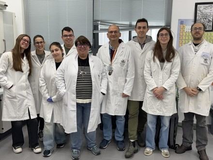 Desarrollan un nanosensor en Andalucía para detectar biomarcadores del Alzheimer y Parkinson