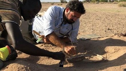 Investigadores analizan la relación entre sociedades humanas y enfermedades a lo largo de la historia