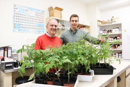 Investigadores españoles descubren que algunas plantas se mueven más rápido que un parpadeo