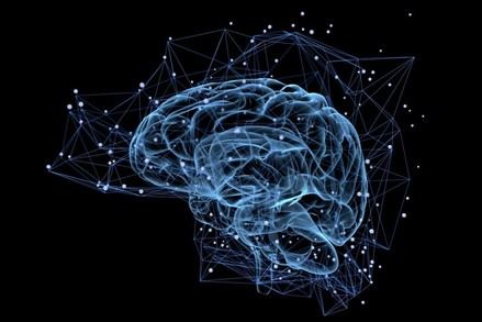 Descubre la complejidad y funciones del cerebro humano