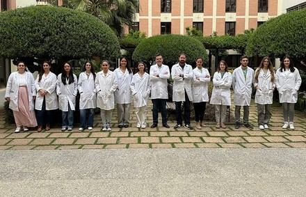 Nuevo método permite evaluar materiales antivirales sin laboratorios de alta seguridad