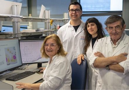 Crean una herramienta innovadora para analizar tumores infantiles en 3D de manera eficiente