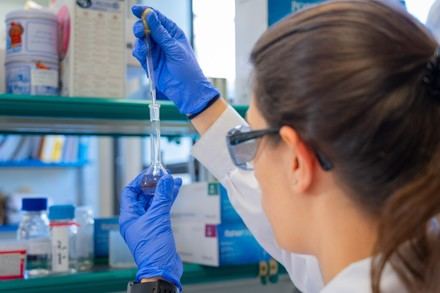 Iniciativas europeas innovadoras para prevenir sismos y estudiar células vivas