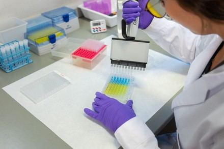 CSIC destina 830.000 euros a investigaciones sobre alzhéimer gracias a un legado