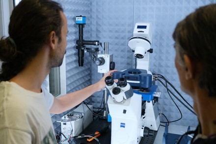 CSIC desarrolla IA para predecir propiedades de células a nivel nanomecánico