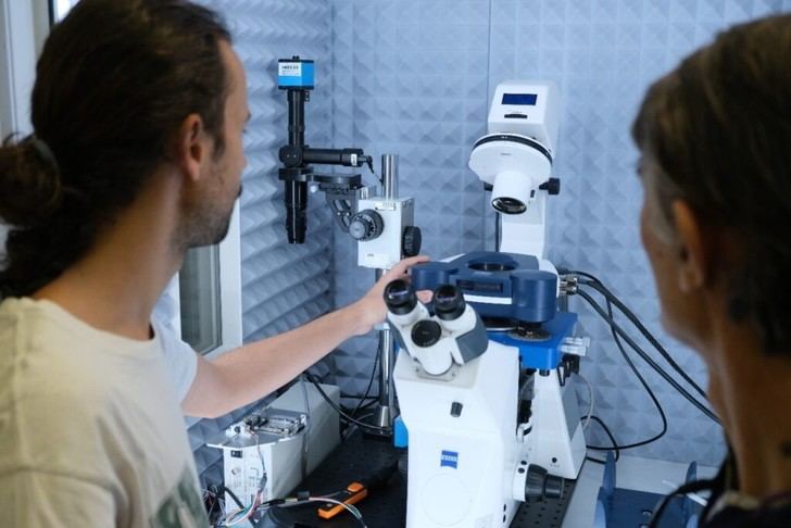 CSIC desarrolla IA para predecir propiedades de células a nivel nanomecánico