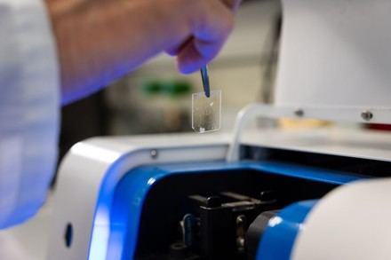 CSIC presenta plataforma para fomentar la colaboración en biomedicina