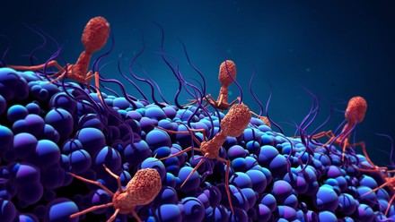 CSIC obtiene 700.000 euros para avanzar en investigación sanitaria