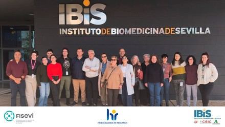 Investigadores del IBiS presentan avances a pacientes con insuficiencia cardíaca y trasplantados