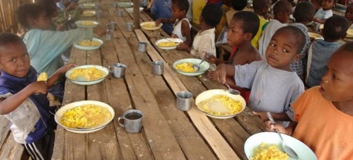 La ONU aboga por la unidad en el Día de la Alimentación para erradicar el hambre y promover la sostenibilidad