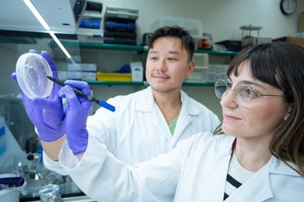 Universidades y hospitales intensifican su cooperación durante crisis sanitarias