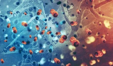 Investigación oncológica integral en la Universidad Loyola para mejorar tratamientos y prevención