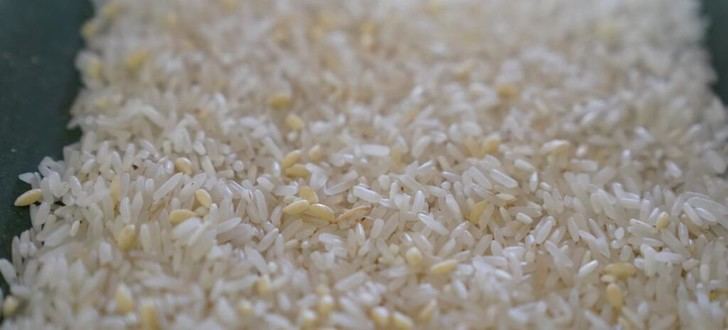 La producción de alimentos alcanza niveles récord pero persisten riesgos globales