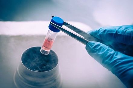 La Universidad de Sevilla se une a la primera red nacional de criobiología