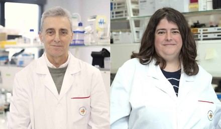 Investigadores descubren que los virus pueden comunicarse entre sí de manera inesperada