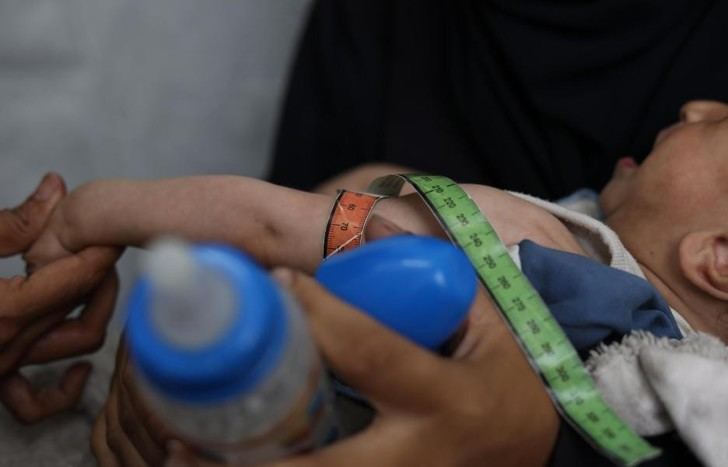Crisis alimentaria en Gaza: más de 100 organizaciones piden ayuda urgente