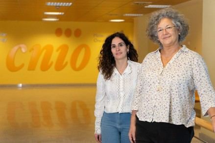 Investigación del CNIO identifica genes que aumentan riesgo de cáncer de páncreas