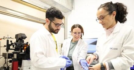 UCAM-SENS creará un nanosensor para el seguimiento celular en tiempo real